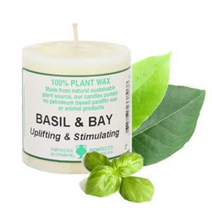 749_e.o. candle 2x2_basil&bay_300x300.jpg